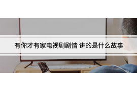 柳南柳南的要账公司在催收过程中的策略和技巧有哪些？